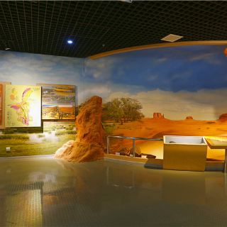 宁夏地质博物馆   分 2条点评 博物馆 必看展区 展馆展览 距景点1.