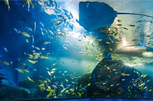 浔龙河甜甜湾室内动物城