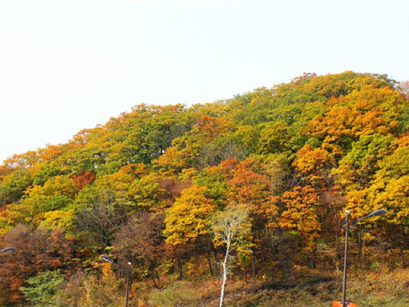 金龙山国家森林公园