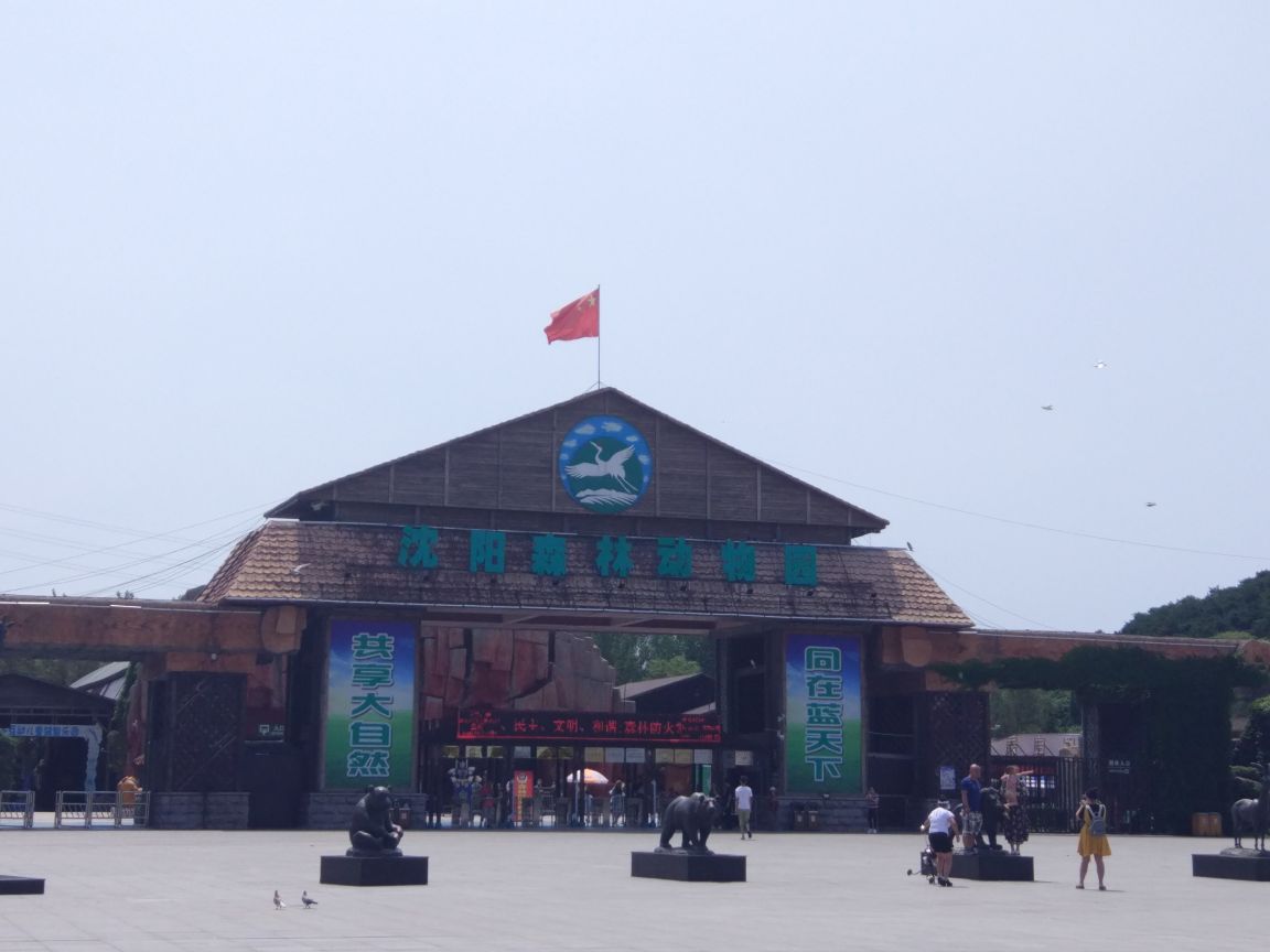 还很不错吧,大熊猫来了,只是太懒了,就往树上一躺,进表演场还加收10园,表演的一点都不好,还以为是熊猫表演的呢,其实就是1个人穿上服装表演其他动物都挺好,就是一些部门捐养的动物太可怜了,老虎都饿的起不来,瘦的都不行了,还喂不了,黑熊就1只,屁股都要烂了,没人管,其他都动物都挺好的