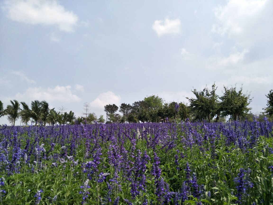 永记生态园