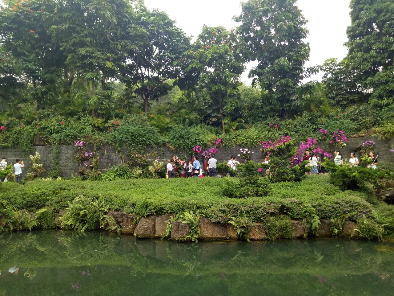 南宁青秀山好玩吗,南宁青秀山景点怎么样_点评_评价