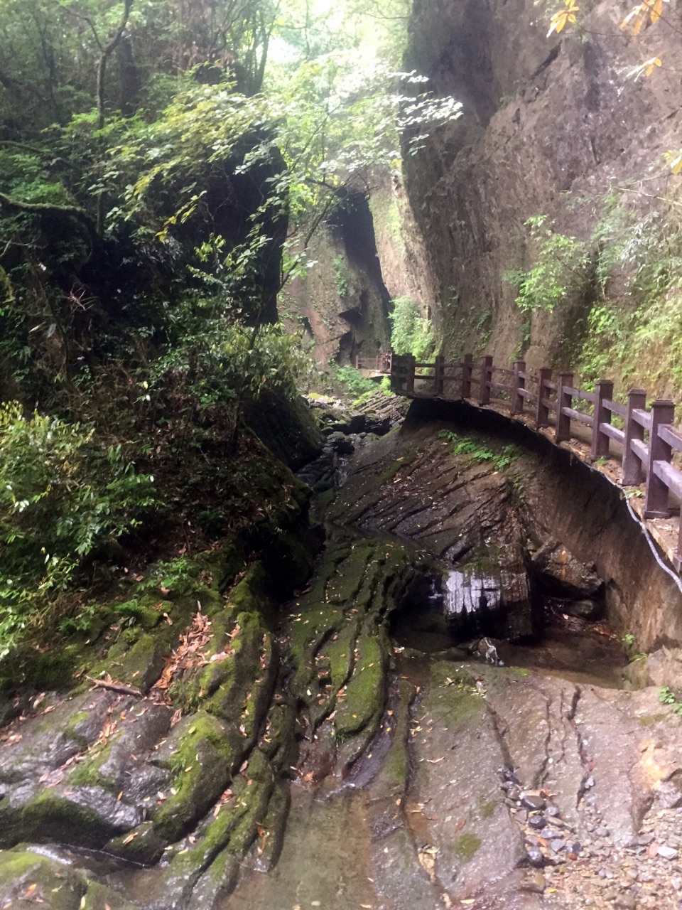 咸丰坪坝营原生态休闲旅游区好玩吗,咸丰坪坝营原生态