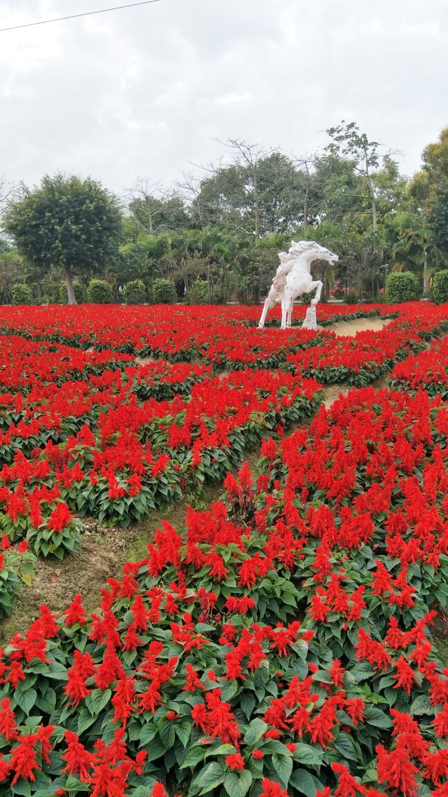 【携程攻略】花都区花都香草世界好玩吗,花都区花都样