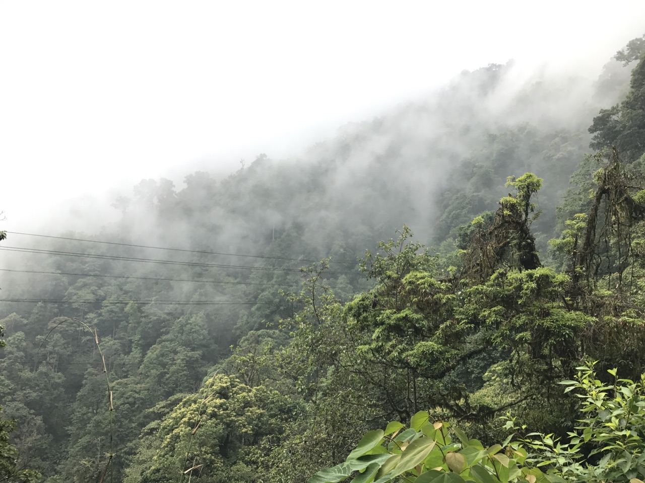 屏边大围山