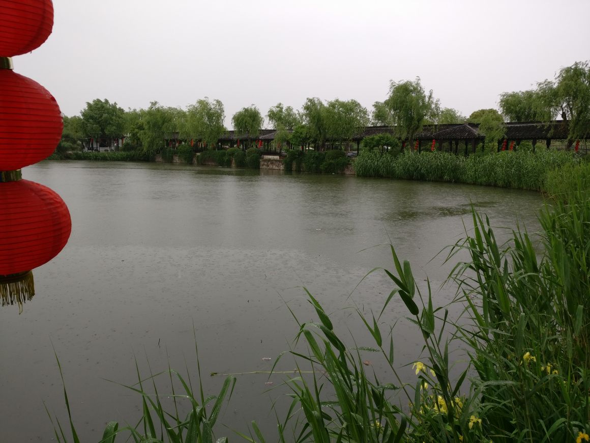 沙家浜芦苇荡风景区