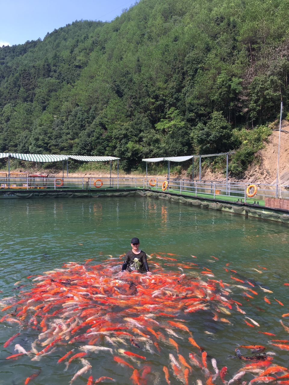 千岛湖宋家渔村蓝泊湾景区