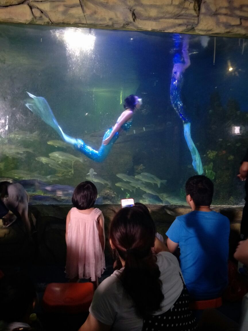 嘉兴极地海洋馆