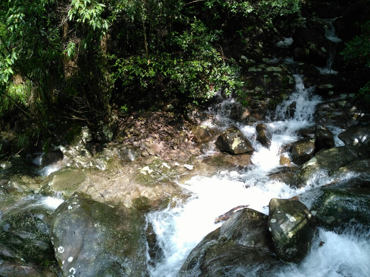 靖安观音岩景区好玩吗,靖安观音岩景区景点怎么样_点评_评价【携程