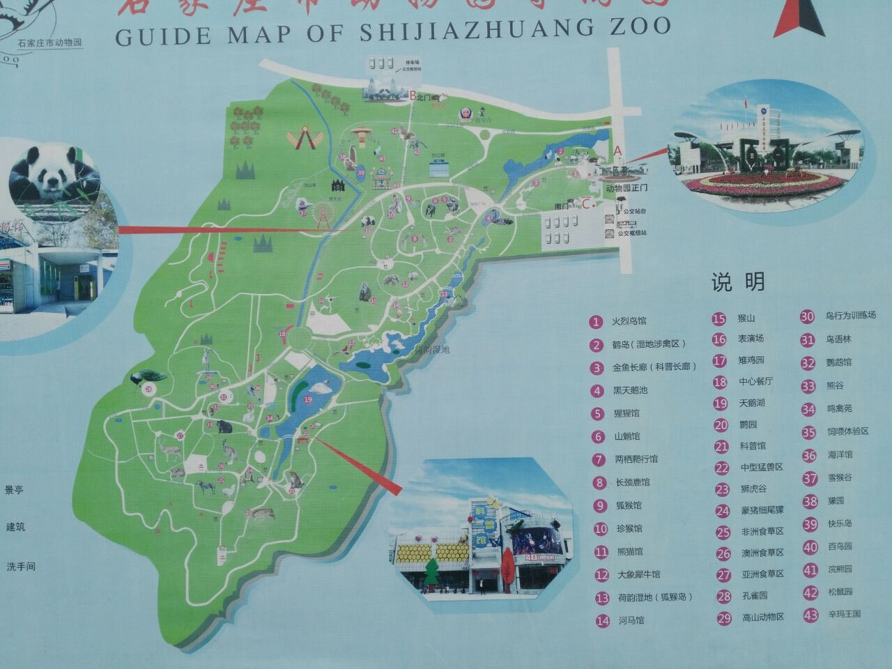 石家庄市动物园