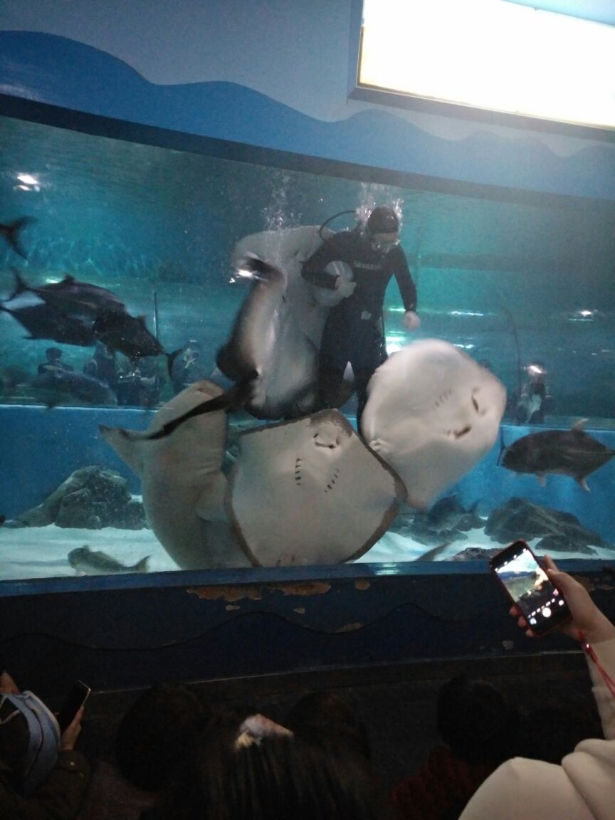 苏州海洋馆