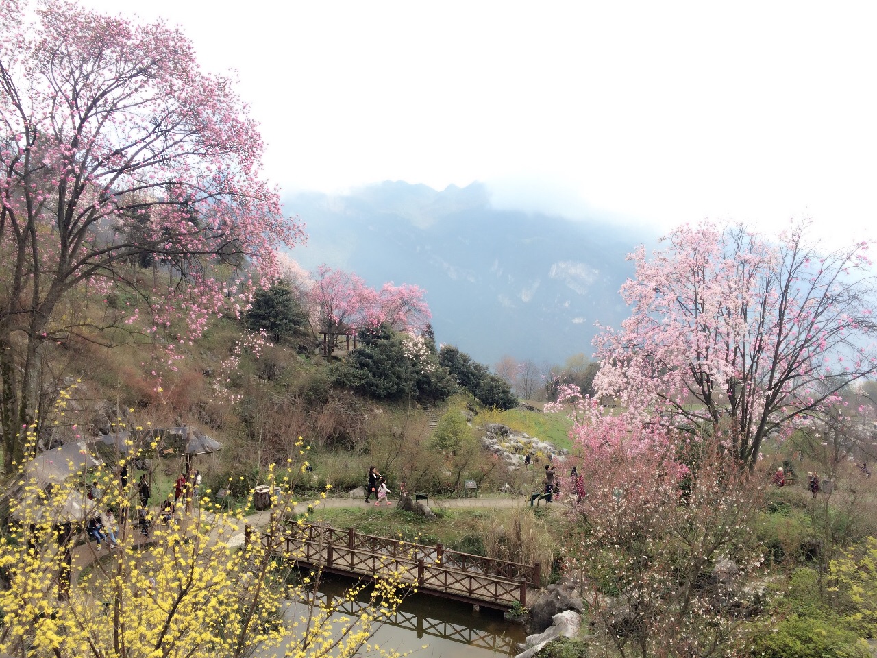 【携程攻略】四川绵阳北川药王谷好玩吗,四川药王谷样