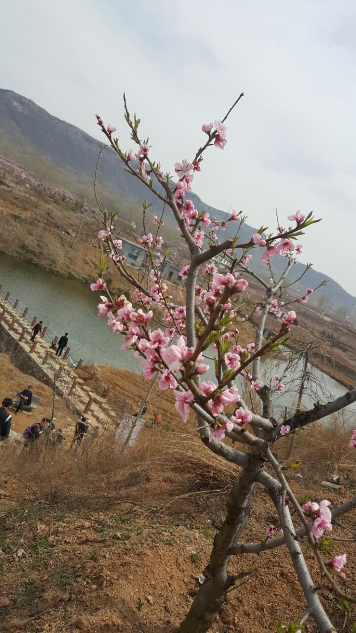 泗水万紫千红生态养生旅游度假区好玩吗,泗水万紫千红