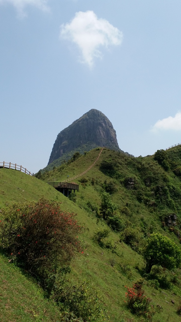 天龙顶国家山地公园