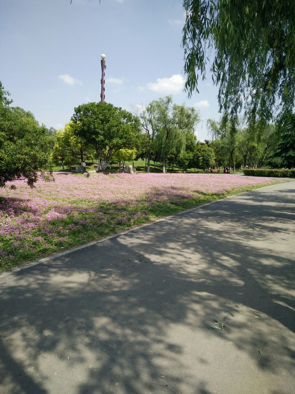 阜阳阜阳生态园好玩吗,阜阳阜阳生态园景点怎么样