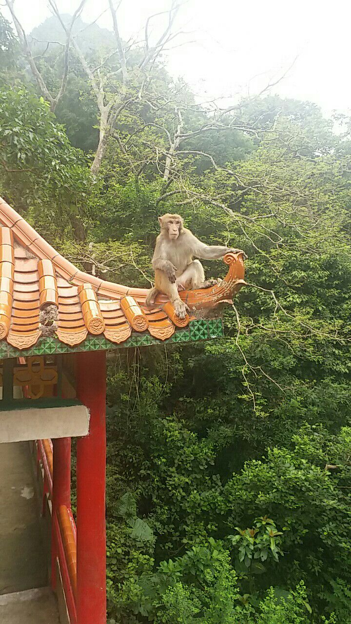 【携程攻略】隆安龙虎山自然保护区好玩吗,隆安龙虎山