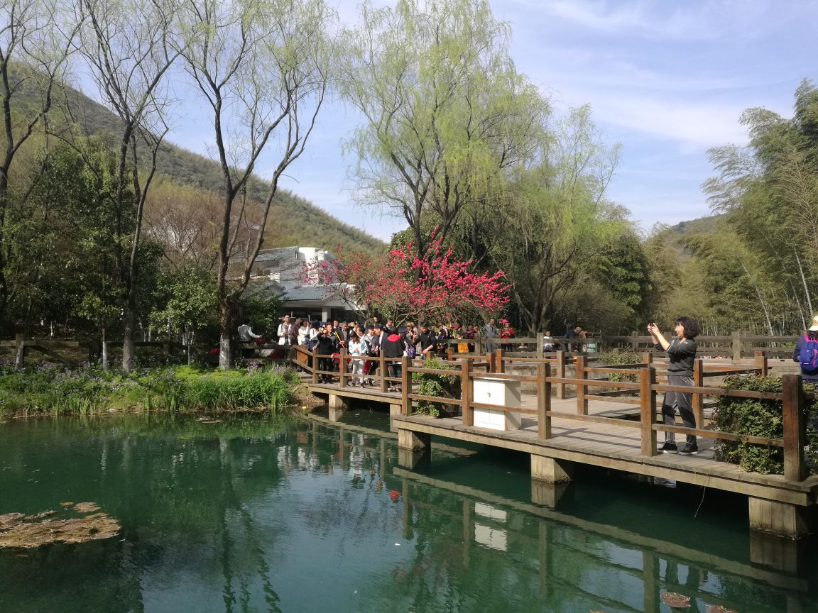 天目湖山水园和南山竹海自然景色不错,就是景区有点太大,2个景区都