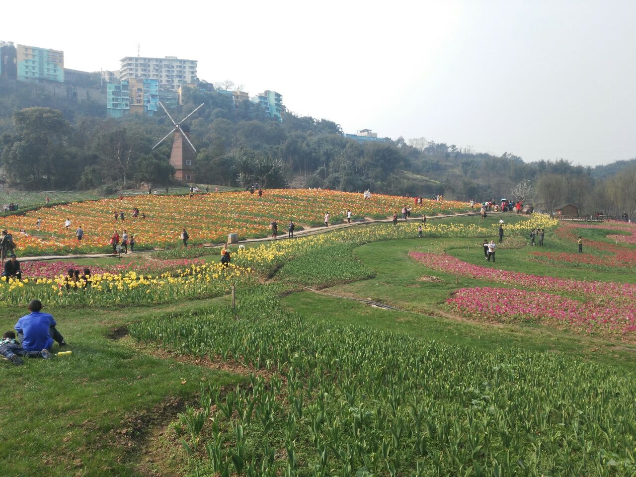 清溪谷旅游区花田酒地景区