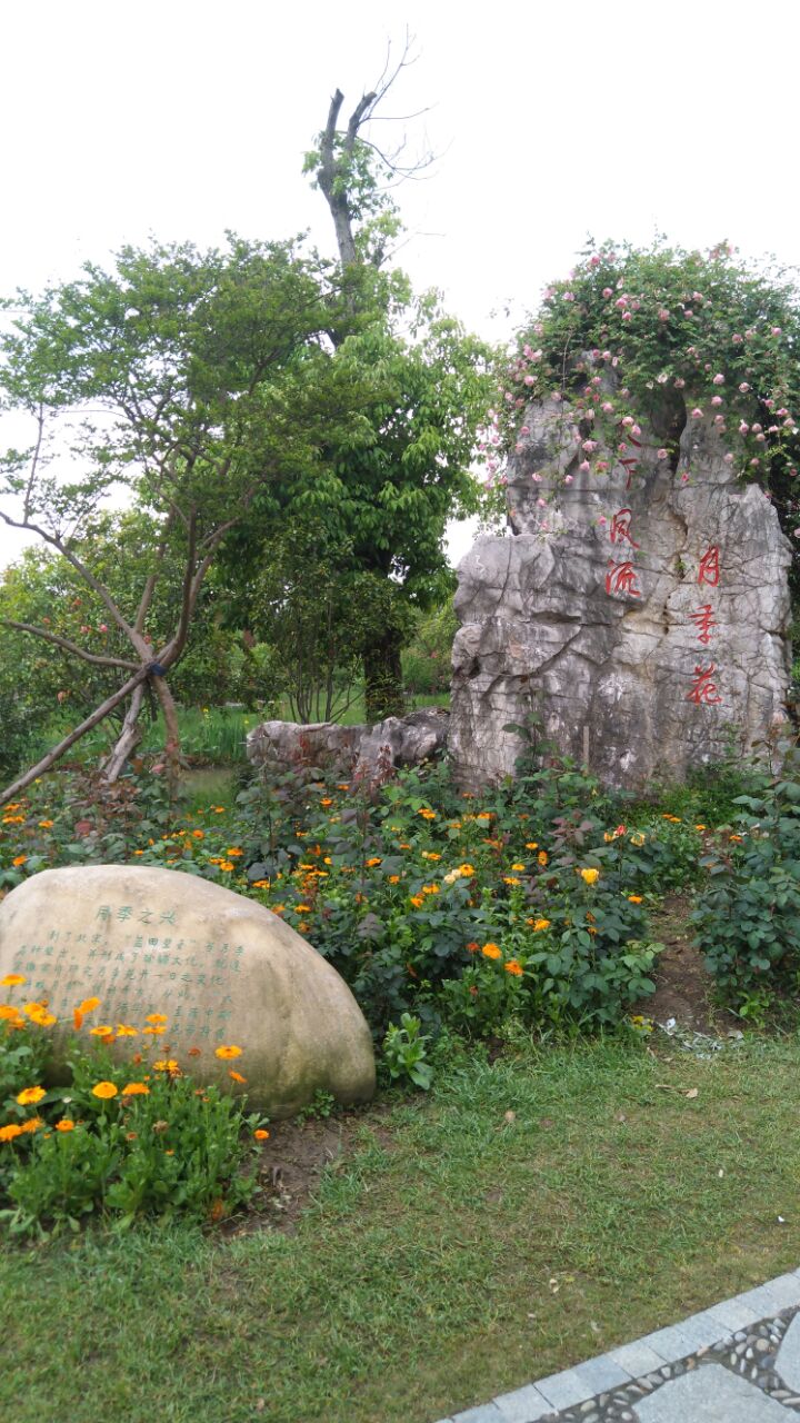 鹅湖玫瑰文化园