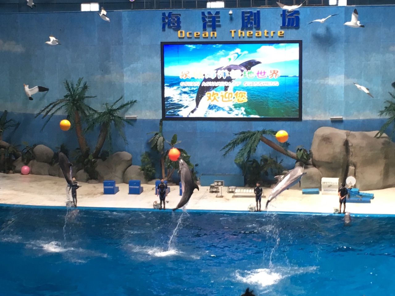 【携程攻略】齐河泉城海洋极地世界景点,海豚表演很不错的呢,就是4d