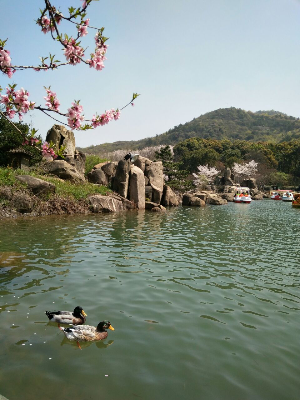 白马涧龙池景区