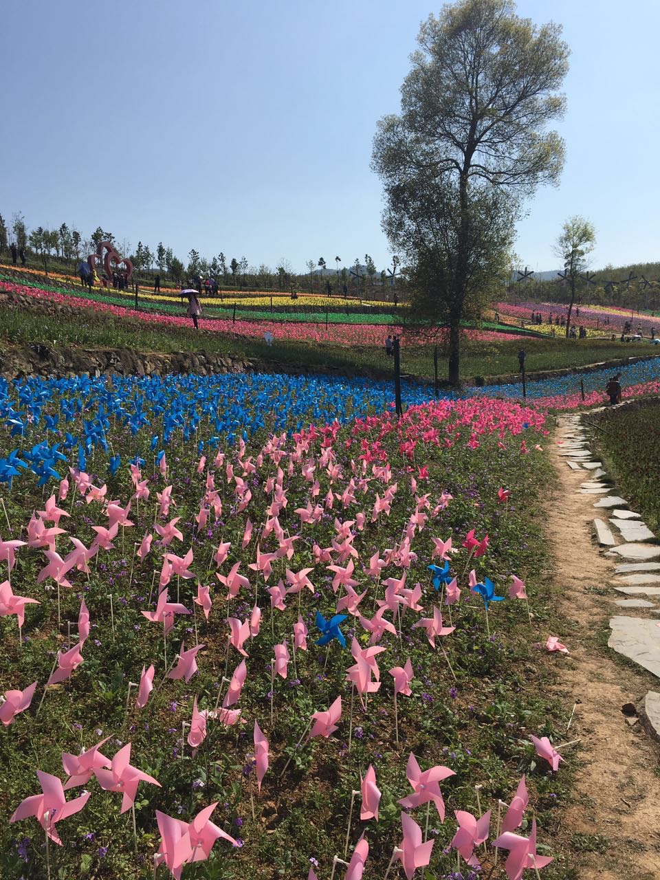凯光新天地新余国家亚热带植物园