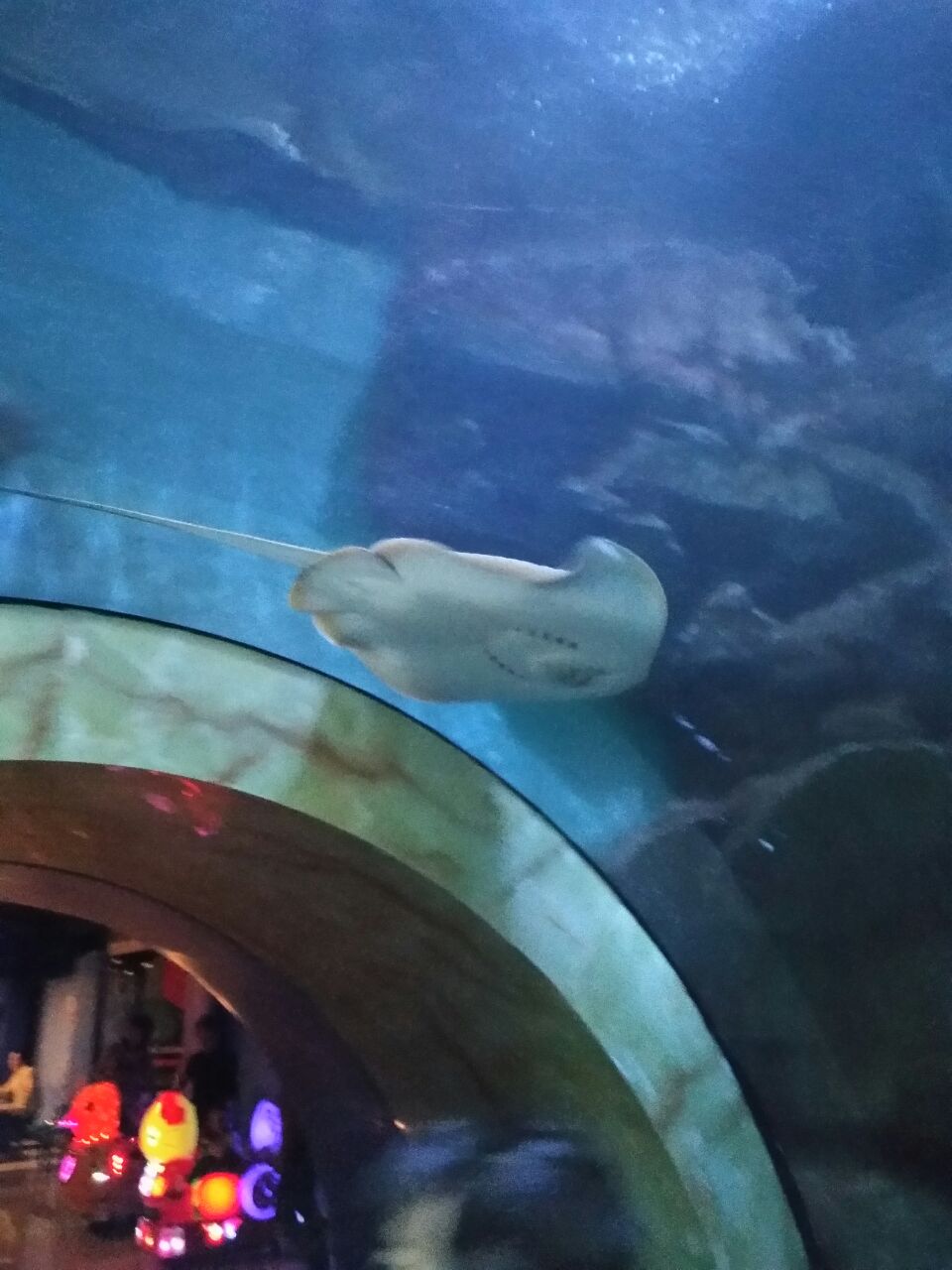 龙门海洋馆