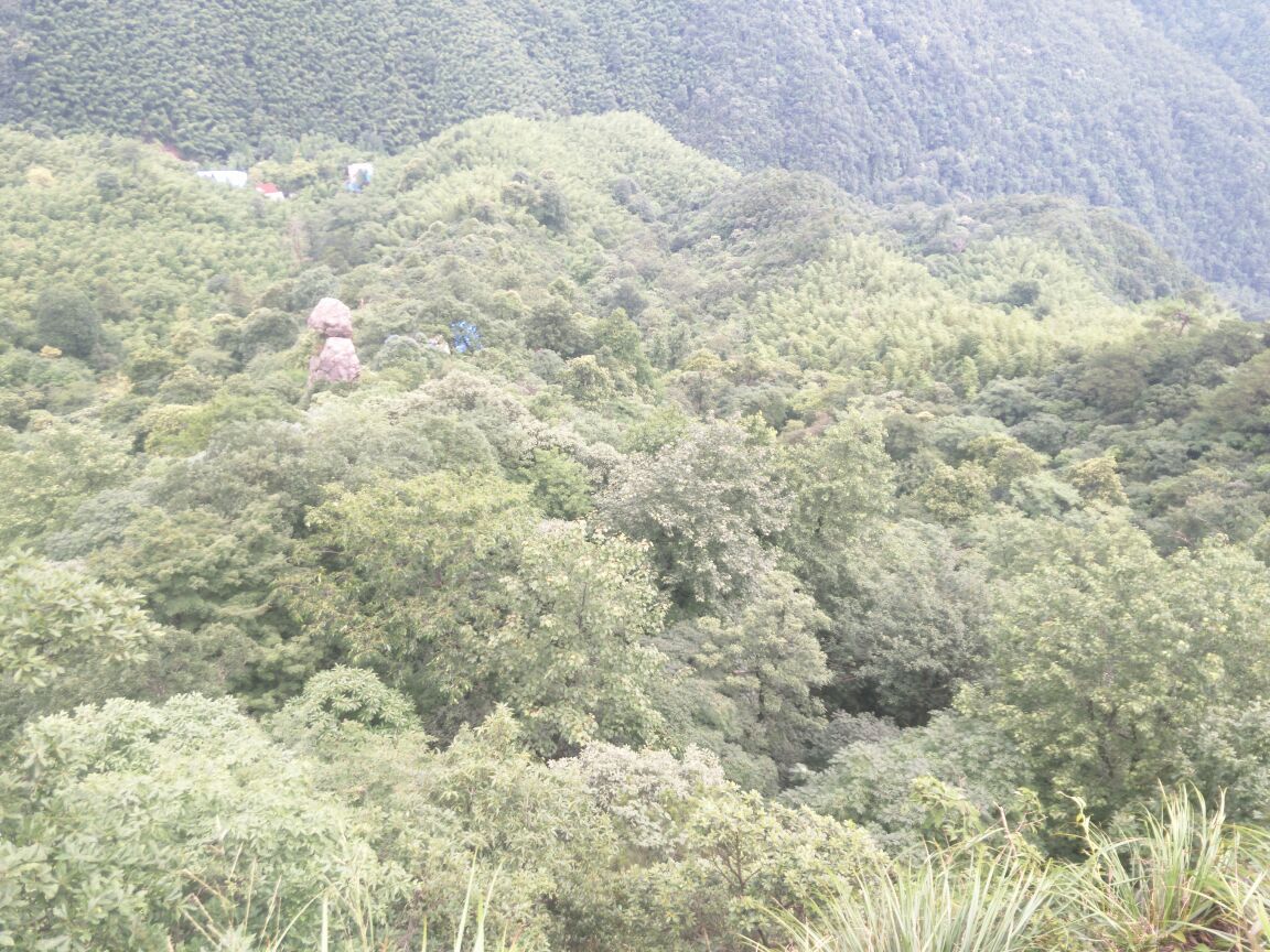 武宁神雾山好玩吗,武宁神雾山景点怎么样_点评_评价【携程攻略】
