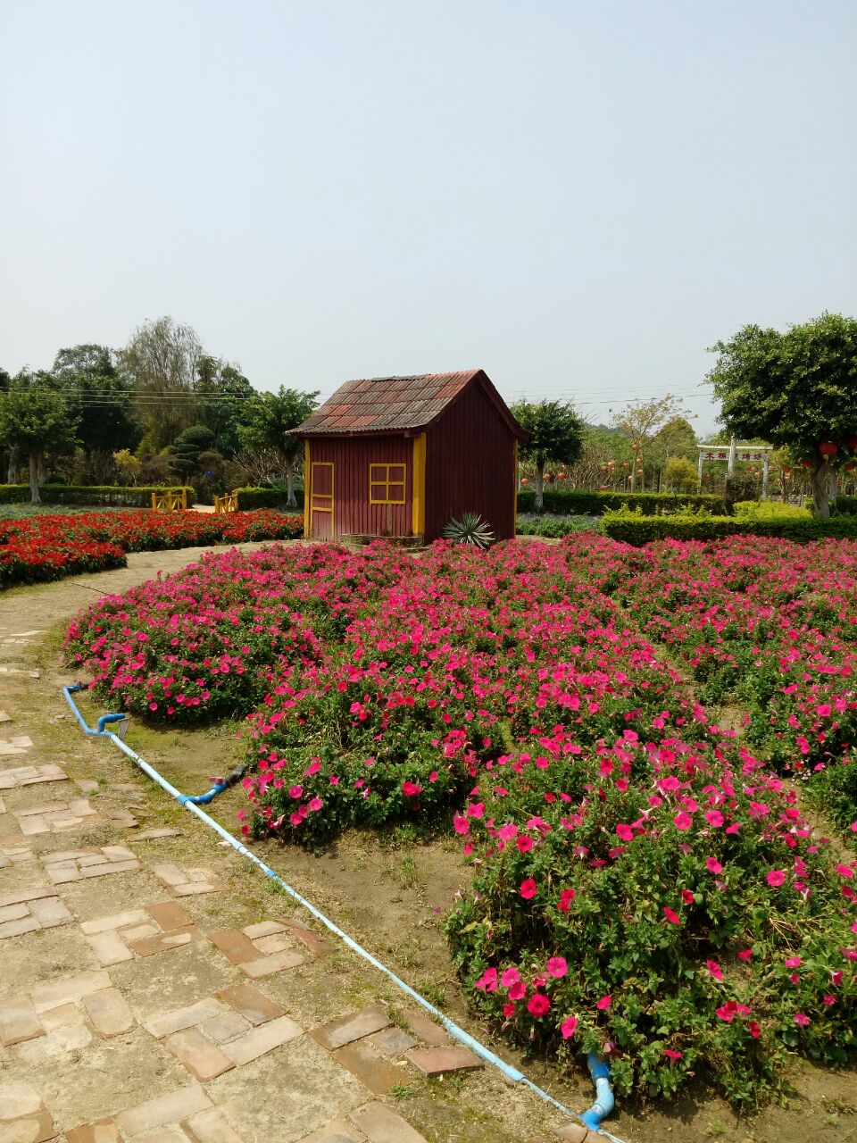 【携程攻略】花都区花都香草世界好玩吗,花都区花都样