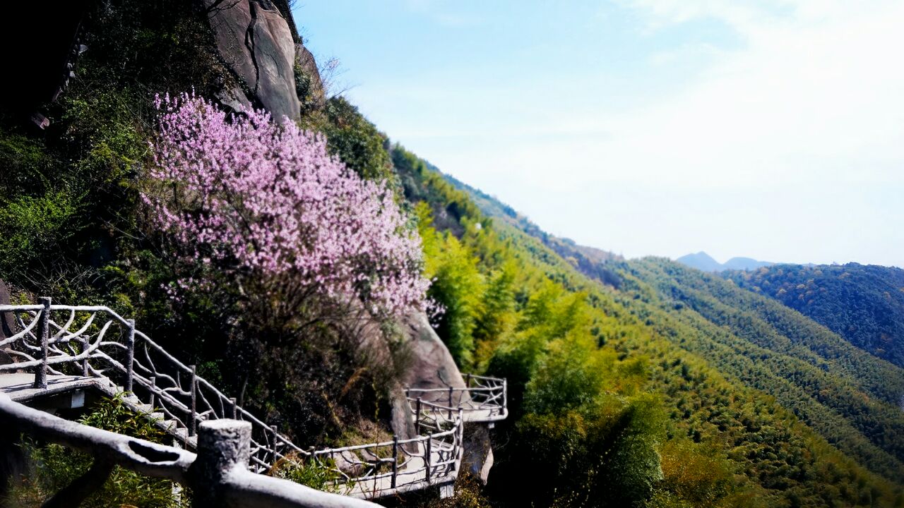 四明山地质公园