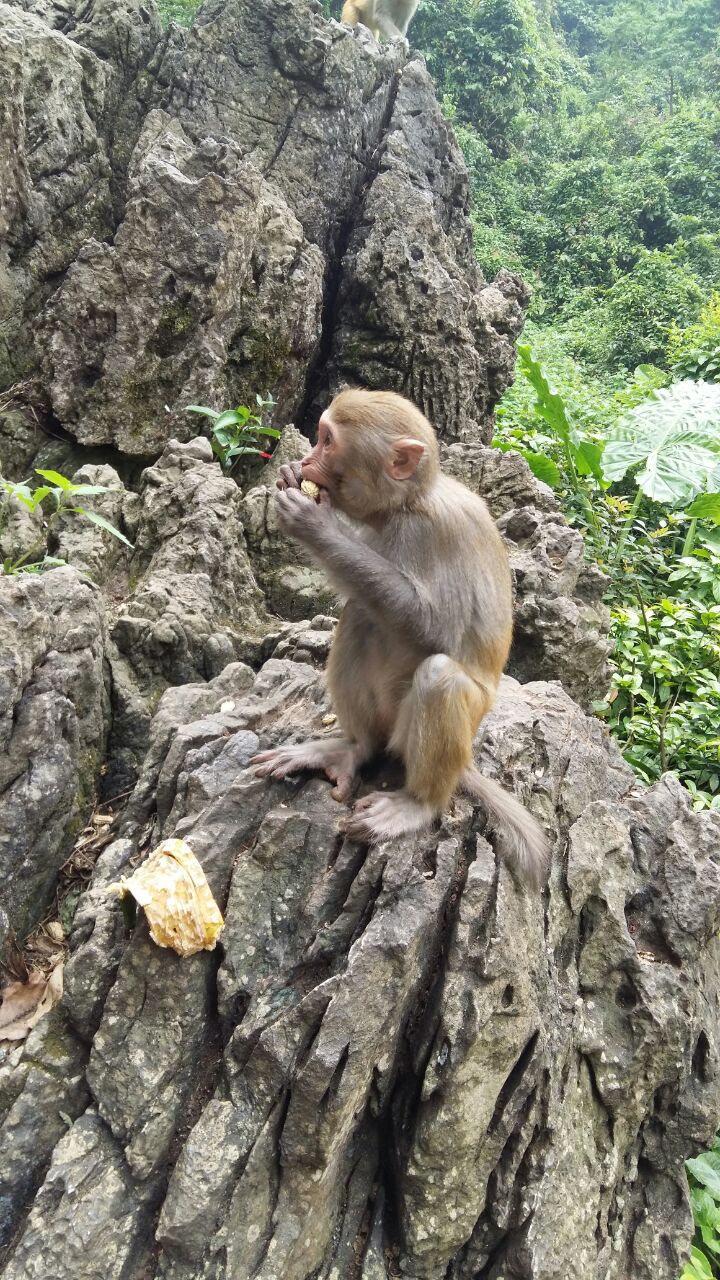 隆安龙虎山自然保护区好玩吗,隆安龙虎山自然保护区样