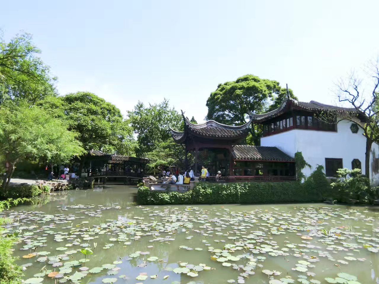 直接进入园区,拙政园是苏州的代表性景点,来苏州是一定要去的