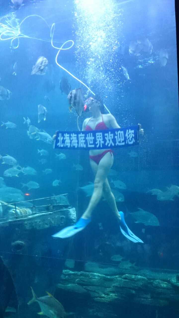 北海海底世界