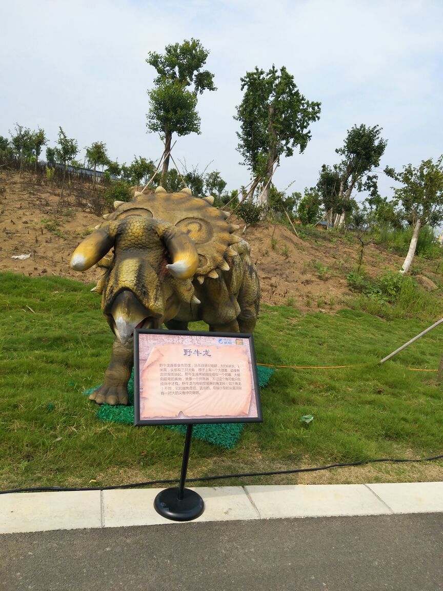 宿州宿州野生动物园好玩吗,宿州宿州野生动物园景点样