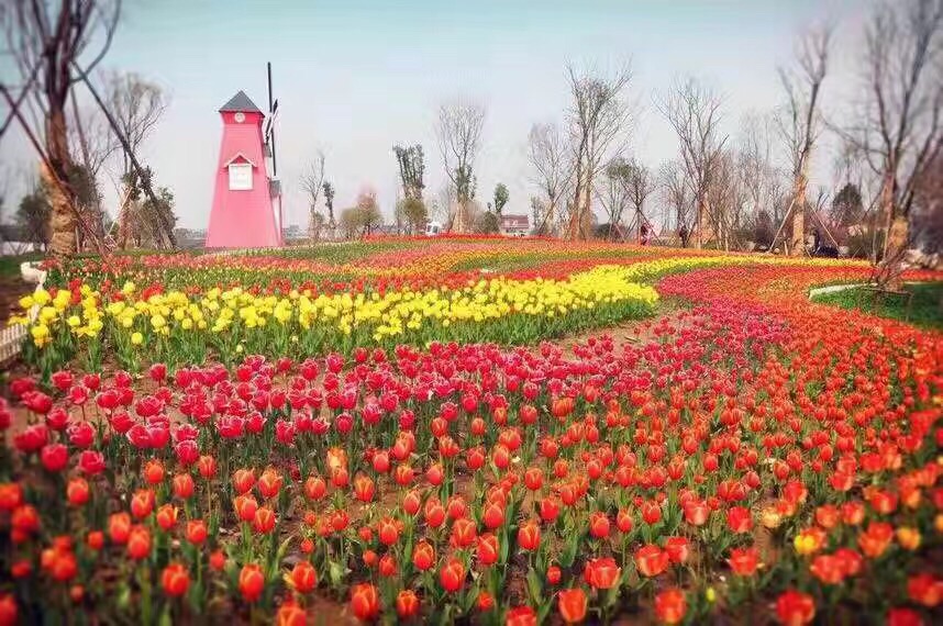 云澜湾·四季花海乐园