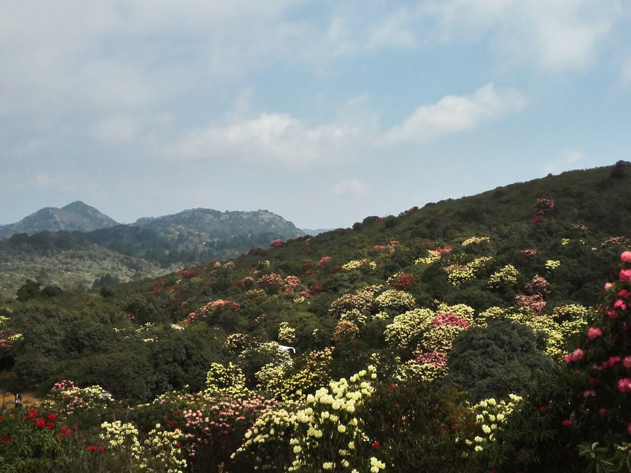 菌子山