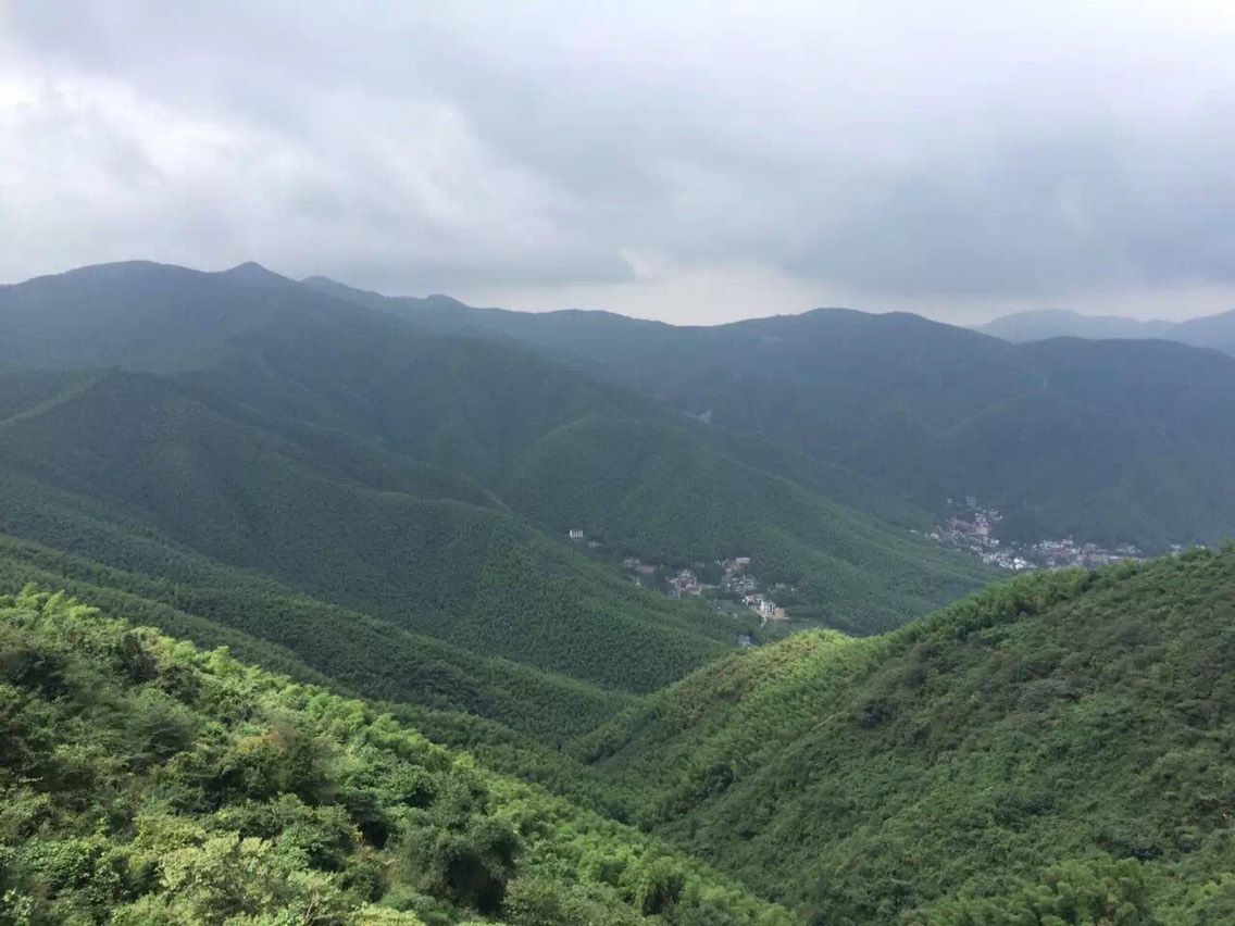 浙江德清莫干山景区徒步一日游【纯玩踏青 单日徒步 上海出发】