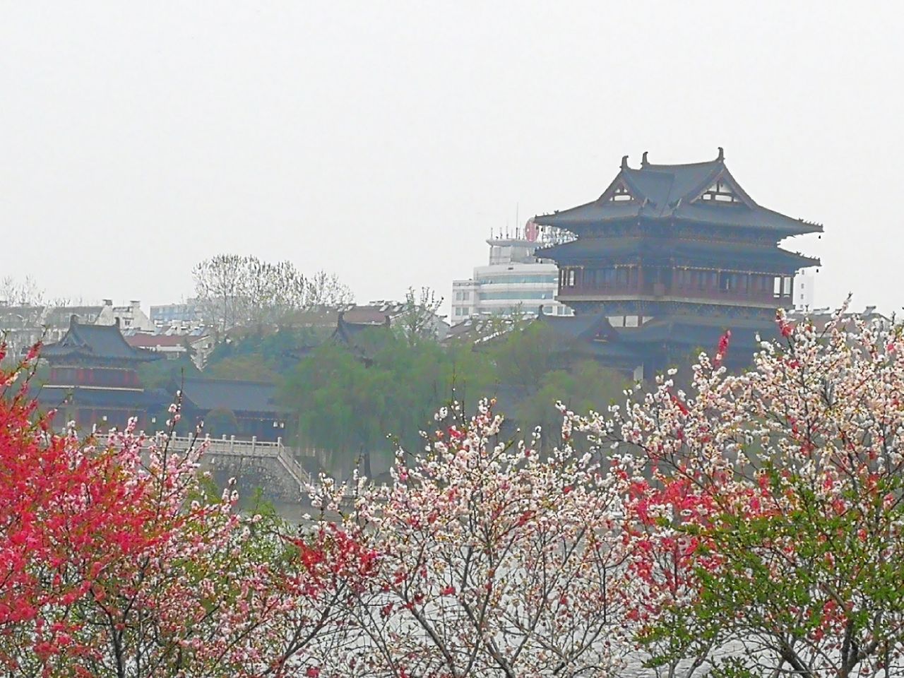 【携程攻略】泰州凤城河桃园好玩吗,泰州凤城河桃园景点怎么样_点评