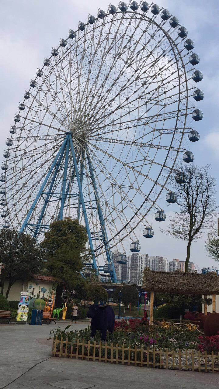 泸州酒城乐园好玩吗,泸州酒城乐园景点怎么样_点评_评价【携程攻略】