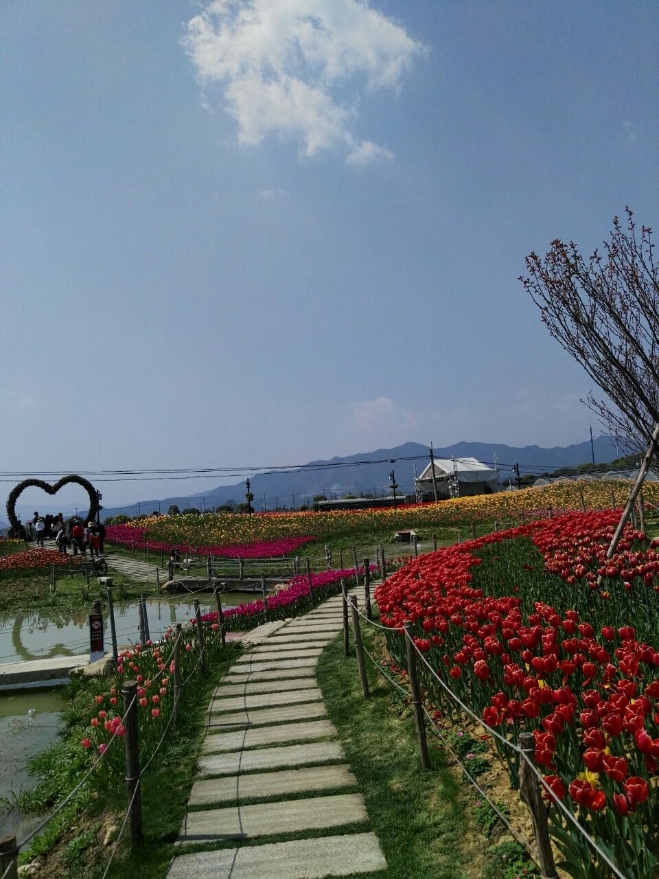 桐庐荻浦花海好玩吗,桐庐荻浦花海景点怎么样_点评