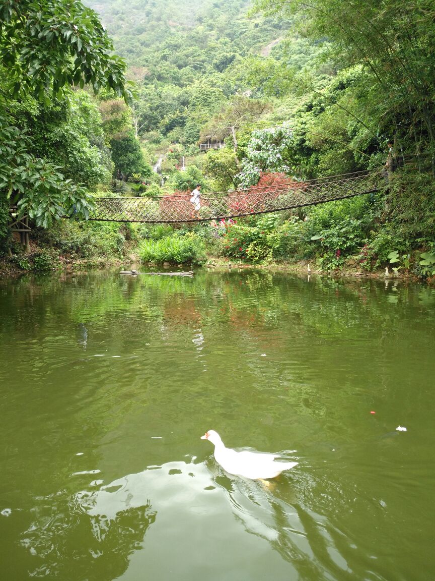 深圳青青世界好玩吗,深圳青青世界景点怎么样_点评