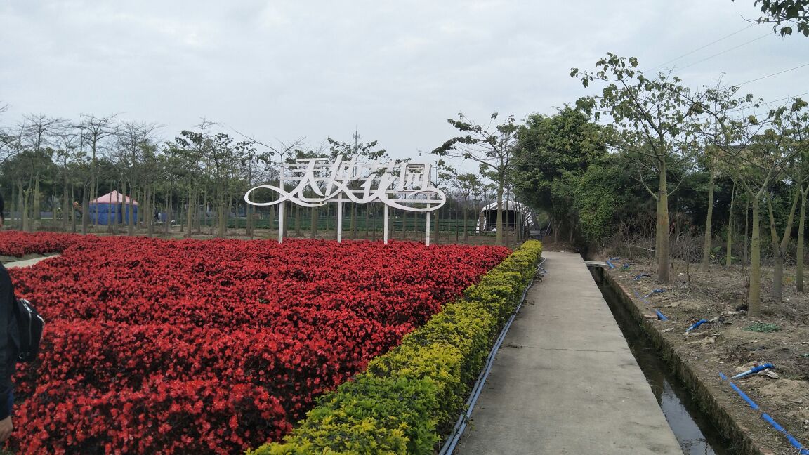 【携程攻略】花都区花都香草世界好玩吗,花都区花都样
