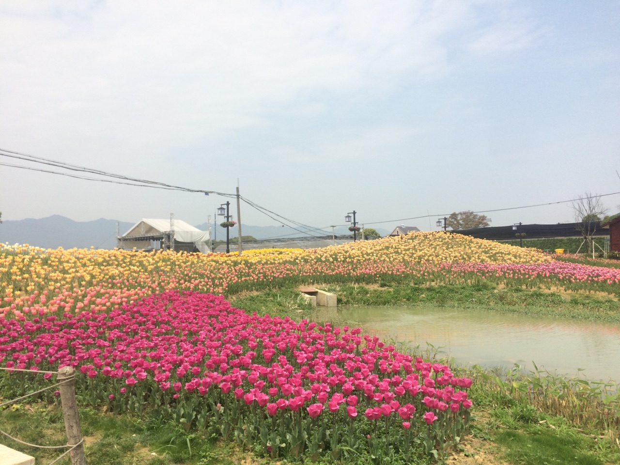 荻浦花海