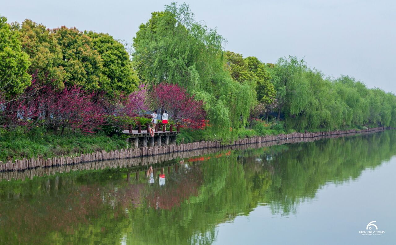 武汉东西湖郁金香主题公园好玩吗,武汉东西湖郁金香主题公园景点怎么