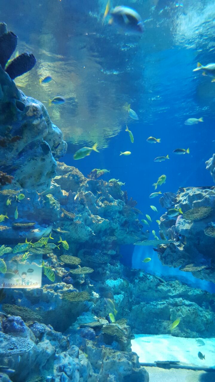 成都海昌极地海洋公园