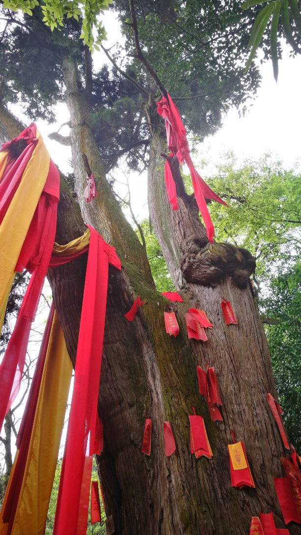 遂宁灵泉寺风景区好玩吗,遂宁灵泉寺风景区景点怎么样