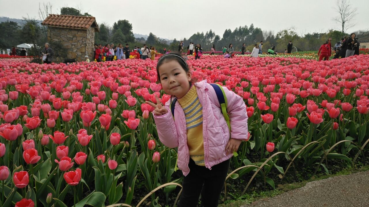 【携程攻略】成都漫花庄园好玩吗,成都漫花庄园景点样