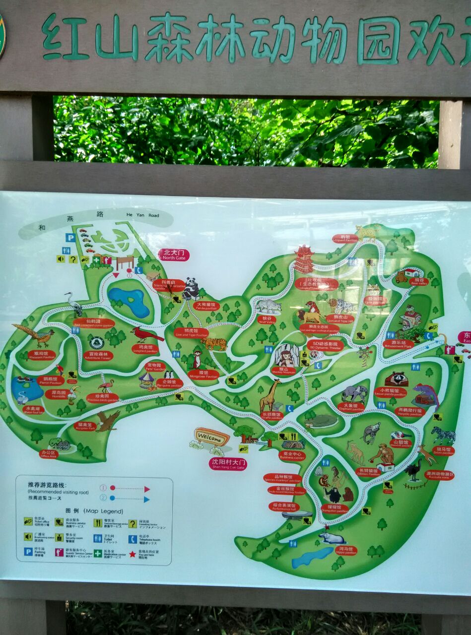 南京春天的天气愁杀人,动物园山高树多风大,一个字,冷。春困,黑熊在午睡,孔雀不开屏,鹦鹉安静的远看像雕塑。小朋友玩的游乐场项目还是挺多的,一般都是20或15元一个人玩3分钟。北大门有出租婴儿推车的,收费20元,先付押金100最后还车退80。随行家长多的还是不要租,爬上爬下拎着小推车反而是累赘,还不如几个大人还手抱着。