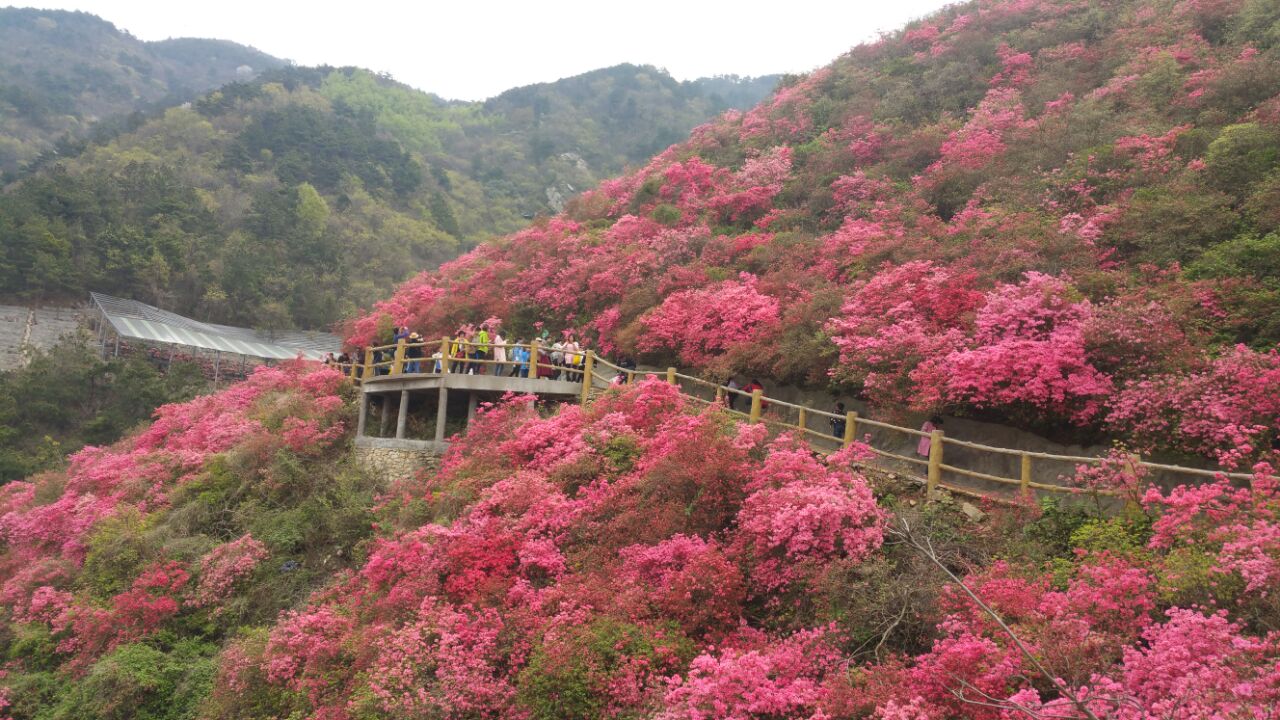 木兰云雾山