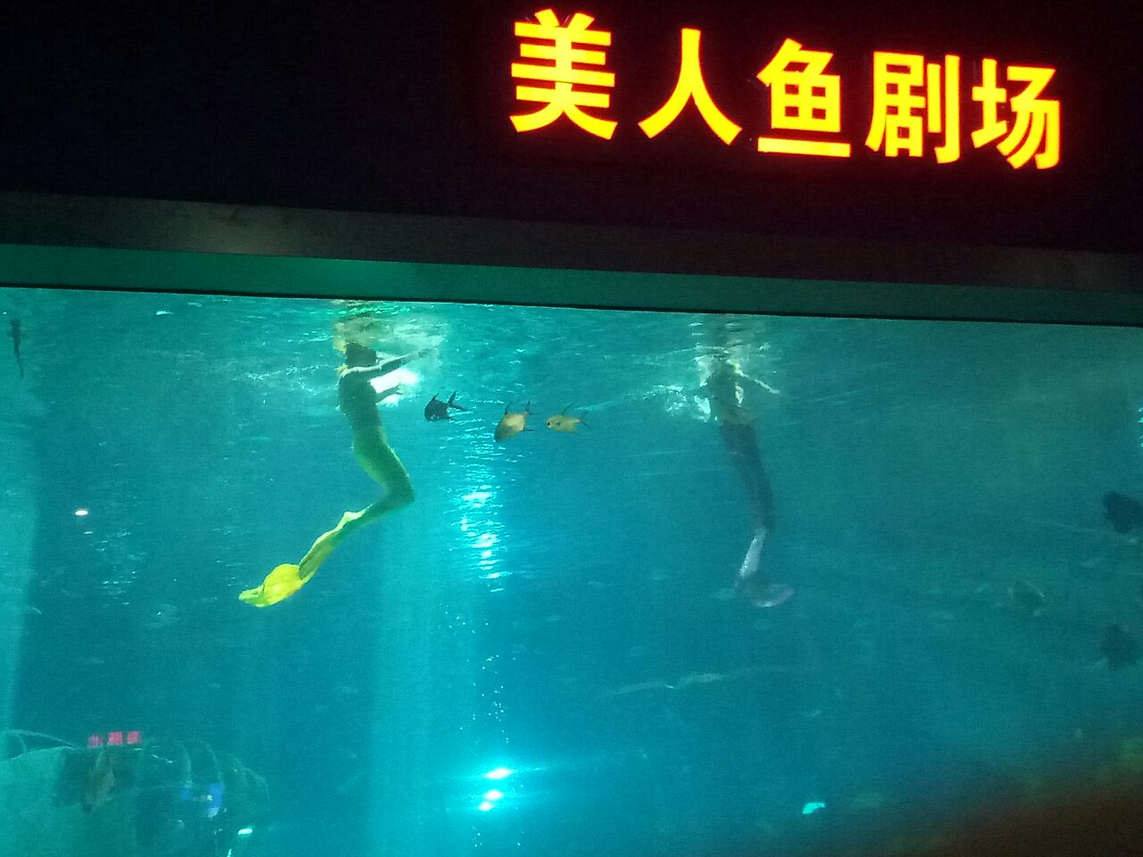 罗源湾海洋世界